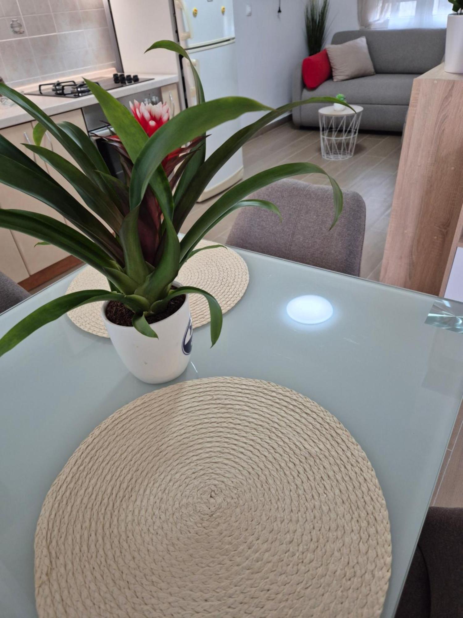 Apartments Duje Сплит Номер фото
